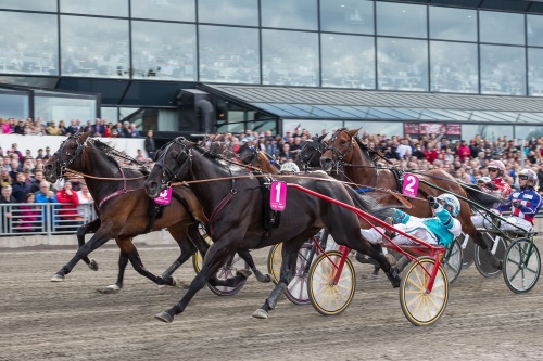 Tips fra: Internasjonal V75 Solvalla: To enorme verdibankere fra GRØ! Travtips 105845