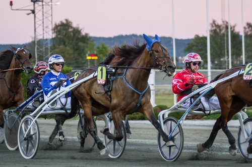 Tips fra: V75-Bjerke - GRØ: Vi melder kapp på den store favoritten! Travtips 105879